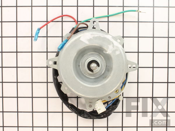 10314981-1-M-DeLonghi-TL1874-Motor -50 Watt/ac/single Phase