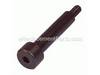 Special Screw – Part Number: 1341604