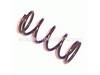 Spring – Part Number: 1343978