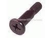 Special Screw – Part Number: 1343991