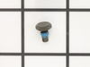 Pivot Screw – Part Number: 1347379