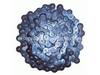 10321086-1-S-Delta-1349175-Chain