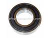 Bearing – Part Number: 422290170005