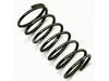 Coil Spring – Part Number: 928010213377