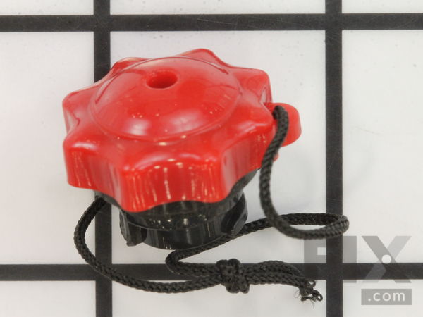 10332501-1-M-Dirt Devil-001365001-Tank Cap