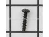 Screw (2) – Part Number: 96469