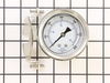 Gauge – Part Number: G00516-3