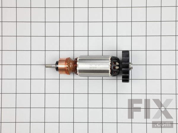 10354946-1-M-Flex-241342-Armature 120v