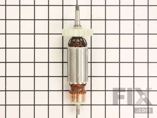 10355516-1-M-Flex-301779-Armature 120V