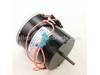 10368984-1-S-Heatstar-21817-Motor