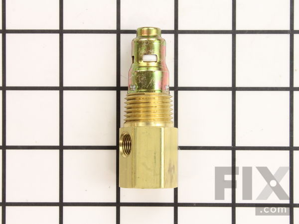 10374877-1-M-Jenny-141-1034-Check Valve