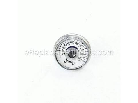 10374905-1-M-Jenny-142-1002-Gauge-psi