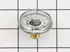 10374906-3-S-Jenny-142-1003-Gauge-psi