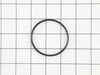 10413736-1-S-Max-KN12614-Check Pawl