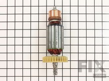 Armature Compl. 120V – Part Number: 310009350