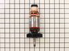 Armature Cpl. 120v – Part Number: 310009890
