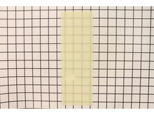 Cover-lamp – Part Number: SK1224000