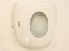 10434470-1-S-Oster-102865-004-000-Lid Assay.