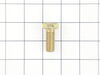Hex Screw – Part Number: TS-0100041