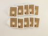 Paper Bag, Canister-10Pk – Part Number: EU-14090