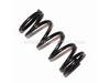 Spring – Part Number: 1619PA0198