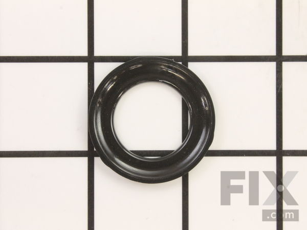 10486901-1-M-SprayTECH-0047424-Ring, Insert