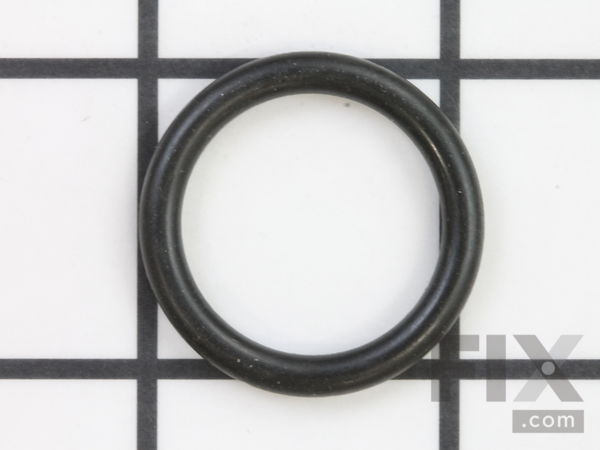 10486938-1-M-SprayTECH-0089932-O-Ring