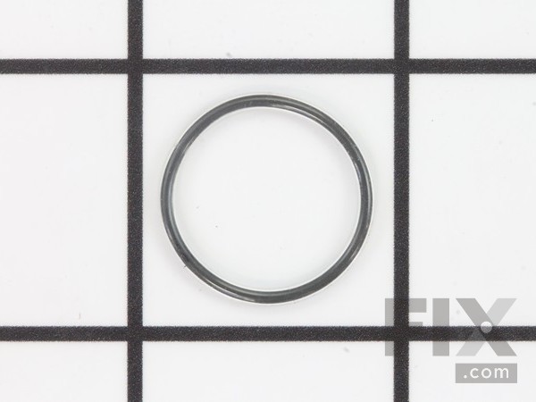 10488167-1-M-SprayTECH-9974188-O-Ring