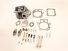 Filter Cartridge – Part Number: 799859