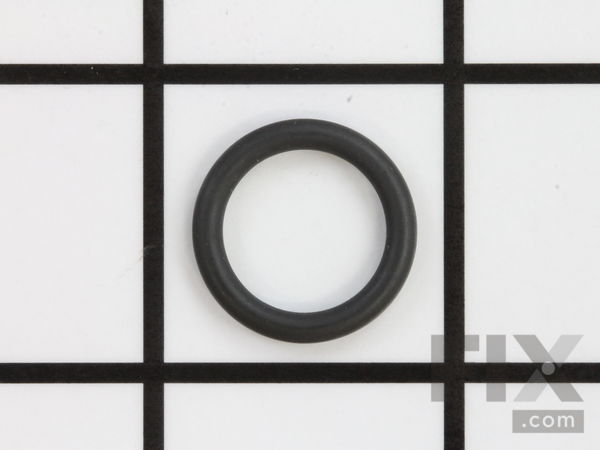 10497544-1-M-Titan-700-201-Viton P-Ring