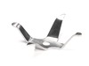 10505953-3-S-Waring-016785-Blade