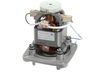 10507070-1-S-Waring-028100-Motor
