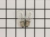 Bulb – Part Number: 029707