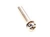 10508638-3-S-Waring-034769-Screw