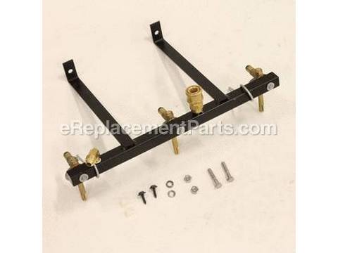 10510208-1-M-Weber-41957-NG Manifold
