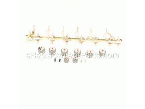 10511534-1-M-Weber-70256-Manifold Assembly