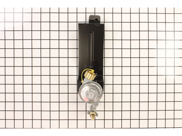 10511975-1-M-Weber-80476-Valve And Regulator Assembly