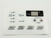 ESCUTCHEON – Part Number: MDD62483201