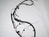 HARNS-WIRE – Part Number: W10780062