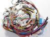 Assembly WIRE HARNESS-MAIN;N – Part Number: DG96-00345B