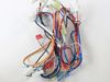 MAIN HARNESS WIRE – Part Number: WB18X26777