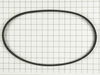 Drive Belt - 120v 50 cycle – Part Number: WP211948