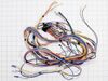 Wire Harness – Part Number: WP33002809