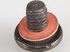 11744349-3-S-Whirlpool-WP74009857-Screw