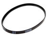 11746496-2-S-Whirlpool-WP8562613-Drive Belt