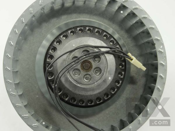 11748402-1-M-Whirlpool-WPW10114253-Motor, Fan Assembly