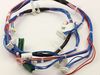 11751581-2-S-Whirlpool-WPW10271979-Wiring Harness