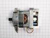Drive Motor – Part Number: WPW10315848