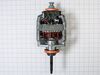 Drive Motor – Part Number: WPW10396039