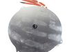 Hotplate – Part Number: WPW10396779
